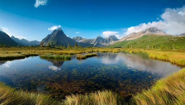 Explorateurs Urbains