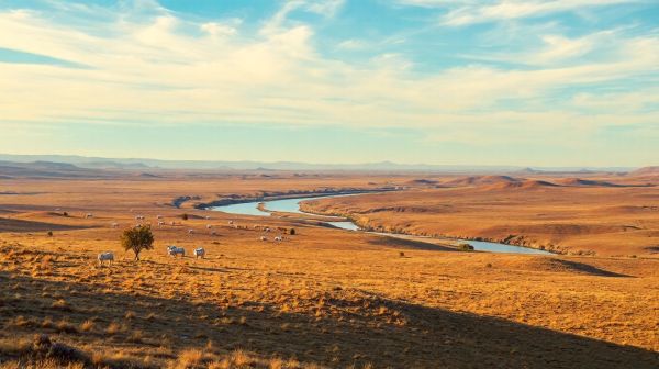 7 raisons de découvrir la magie de la Camargue lors de votre prochain voyage